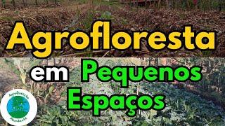 Agroforestry in Small Spaces - Agroforestry in Small Properties - Agroforestry in the Backyard