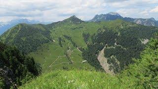Koprivnjak