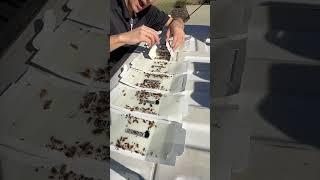 Pest Control tips #pestcontrol