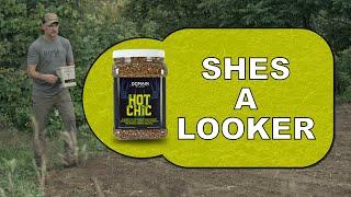 Hot Chic - Spring food plot