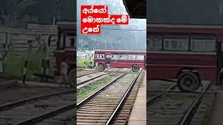 3.20 million views /bus stoped on railway crossing  unexpectedly| Heeloya Srilanka |trainSL|BUS