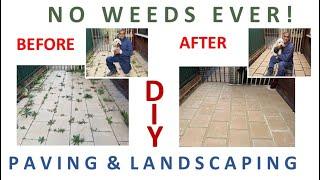 NO WEEDS EVER.  D I Y PAVING & LAND SCAPING. FUN WITH CUTE CAVOODLE PUPPY BILLY