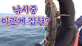 5짜가 이렇게 막 올라온다고?? 넣으면 올라온다 !!  낚시 시즌시작!! / Let's catch a big fish by fishing in the winter sea.