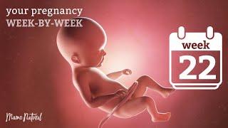 22 Weeks Pregnant - Natural Pregnancy Week-By-Week