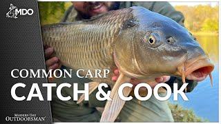 Common Carp - Catch and Cook (Frying vs. Catfish & Tilapia!) SHOCKING!!