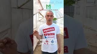 Где купить овощи оптом от производителя ?