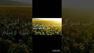 love Allah ️ and Muhammad saw️#pray #loveallah #love #quran #quotes #shorts