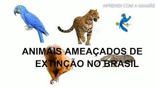 ANIMAIS AMEAÇADOS DE EXTINÇÃO- 1 ano fundamental-educação infantil