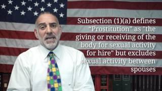 What's the Difference between a Prostitute and an Escort? (84) Michael A Haber Miami Criminal Lawyer