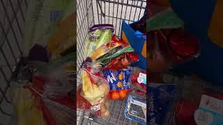 WEEKLY ALDI GROCERY HAUL UNDER $100 (Family of 4)