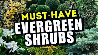 15 MUST-HAVE Evergreen Shrubs for YEAR-ROUND Beauty  // ALL SEASON STUNNERS 