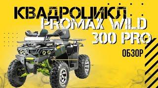 Полный ОБЗОР квадроцикла PROMAX WILD 300 PRO от сети мотоцентров X-MOTORS