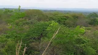 435 acres land just 8 km from beach for sale in Leon Nicaragua