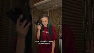 5 июня 2025 г.