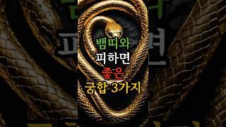 뱀띠와 피하면 좋은 궁합 3가지 / 뱀띠와 상극인 띠 #뱀띠 #뱀띠운세 #뱀띠궁합
