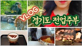  응급실에 또 갔어요.. | 경기도 아이랑 갈만한 초막골 생태공원 | 서울대공원 동물원 호랑이 | t1 카페 아레나 | 다이소 추천템 | 전업주부 브이로그