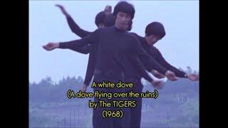 The TIGERS - A white dove （Eng sub）/ ザ・タイガース - 廃虚の鳩