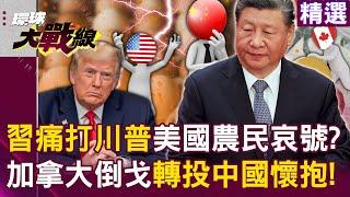 Xi Jinping joins forces with Canada's "Anti-Trump Alliance" to make US tariffs self-destruct! ?