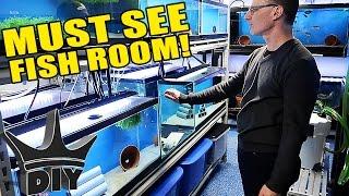 The DOUBLE FISH ROOM tour!!