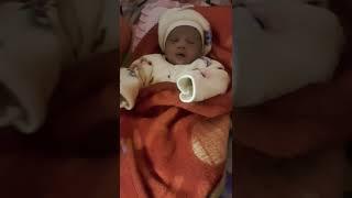 Cuta Baby Rajveer chandela 41 #shorts #shortsfeed #shortfeed