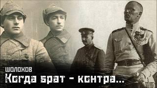 ШОЛОХОВ: Про эхо Гражданской войны (1918 -1922) / Мягкотелый // СМЫСЛ.doc