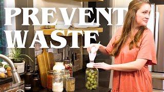 How Food Preservation Can Save You $$$