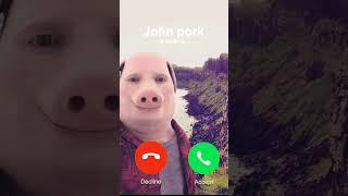 John Pork Ringtone