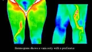 Dr. Carla Garcia, DOM (Doctor of Oriental Medicine)  "Imaging Pain"  NM Show #8