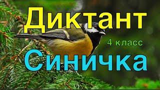 ВПР 2021 по русскому языку в 4 классе. Диктант с заданиями