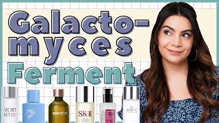 Galactomyes | Why I Love it & my Fave Products