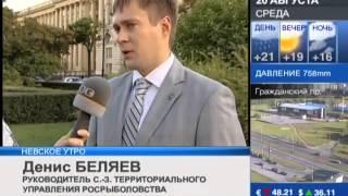 Денис Беляев – о том, что с сентября ужесточатся правила рыбной ловли