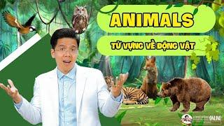 TỪ VỰNG VỀ ĐỘNG VẬT (ANIMALS) - Thầy Dương (cover)