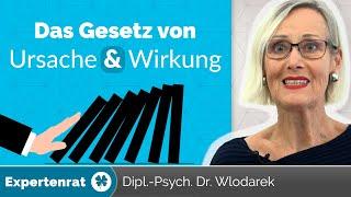 Das Gesetz von Ursache & Wirkung – 3 Tipps, wie Sie Ihr Handeln positiv ausrichten.