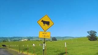 Tour of Petaluma, CA