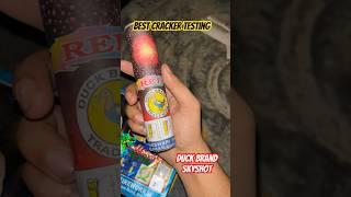 Best Cracker Testing  (Duck Brand Skyshot) #cracker testing2024 #crackers #viralshorts #diwali