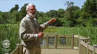 3 things you can do at home to create your own dragonfly pond - Exbury Gardens dragonfly expert