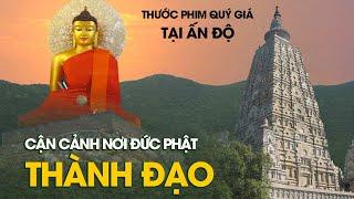 Cận cảnh nơi ĐỨC PHẬT THÀNH ĐẠO tại Ấn Độ qua thước film quý giá  I  Truyền Thông Phật Giáo