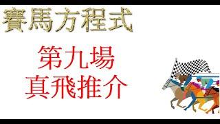 #11月24日，#星期日，#沙田八草二泥日賽，#第九場，#真飛推介！