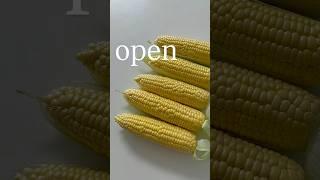 진짜 오리지널 제주 초당옥수수 open !! #제주#초당옥수수 #공구