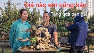 Tầm này giá nào em cũng bán lấy tiền mua quà tặng bạn gái