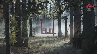 Film4 Woods Ident | Film4