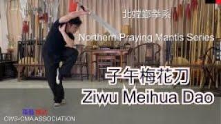 北螳螂拳系-子午梅花刀 Northern Praying Mantis Series-Ziwu Meihua Dao