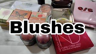 2023 Makeup Inventory- Blushes