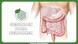  GESUNDEN DARM AUFBAUEN - MAGEN-DARM PROBLEME BESEITIGEN - VERDAUUNG ANREGEN - GESUNDE DARMFLORA 