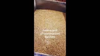 Brewing gruit style sour ale at Fiskarsin Panimo brewery