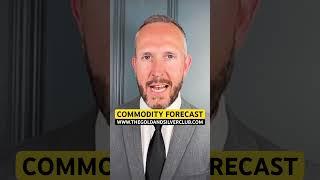 COMMODITY PRICE FORECAST: 30 AUGUST 2024