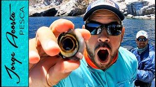 El perdedor se come un OJO DE JUREL - Reto de Pesca con Señor Bassfishing