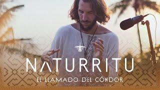 N Λ T U R R I T U – El Llamado del Cóndor (Hybrid DJ-SET / Folktronica / Organic Downtempo)