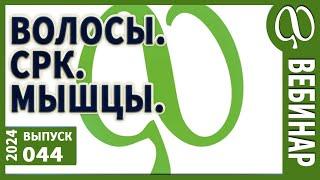 Ваше путешествие по шагам исцеления и по каналу. Анализ Вашего здоровья в эфире. Волосы. СРК. Мышцы