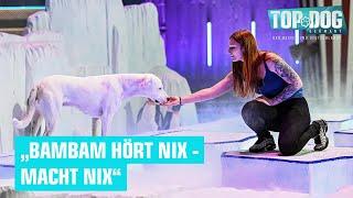 Hund Bambam ist taub - meistert er den Parcours?  | Top Dog Germany 2024